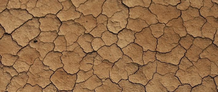 La Planète, grande oubliée du mouvement des « gilets jaunes » La Planète, grande oubliée du mouvement des « gilets jaunes »