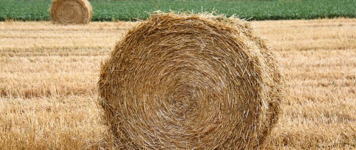 Mise en œuvre dans le Tarn de la clause de force majeure et avance d&rsquo;1Md€ pour aider les éleveurs touchés par la sécheresse