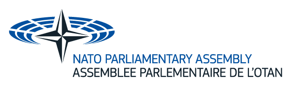 Le sénateur Philippe Folliot élu à la présidence de la commission de l&rsquo;économie et de la sécurité de l&rsquo;AP-OTAN