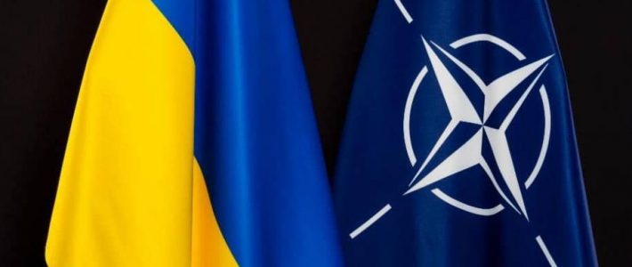 Le Sénateur Folliot intervient en visioconférence pour l&rsquo;Alliance des Libéraux et des Démocrates de l&rsquo;AP-OTAN