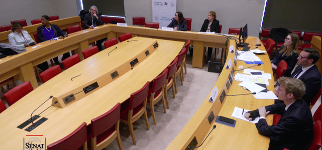 Fret maritime outre-mer et continuité territoriale, la Délégation aux aux Outre-mer auditionne CMA-CGM