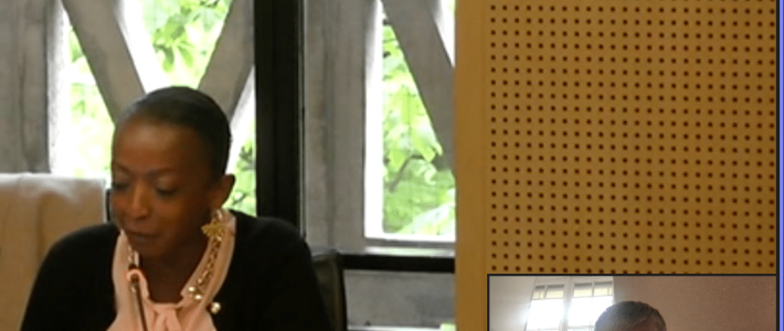 « Quelles transitions énergétiques pour les Outre-mer ? » Philippe Folliot auditionne les rapporteurs du Conseil économique, social et environnemental