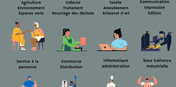 Situation des structures d’insertion par l’activité économique : réponse du ministère Situation des structures d’insertion par l’activité économique : réponse du ministère