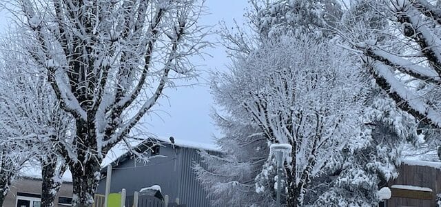 Mobilités rurales : des échanges concrets au service du territoire